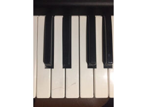 Roland XP-80 (47535)