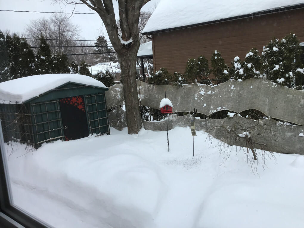 4282607.jpeg 4282607.jpeg