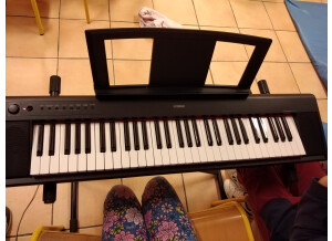 Yamaha NP-30 (62132)