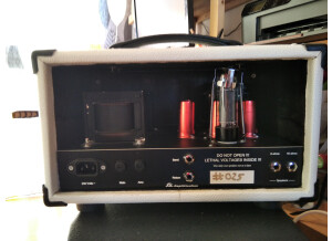 FX Amplification LaBleue (246)