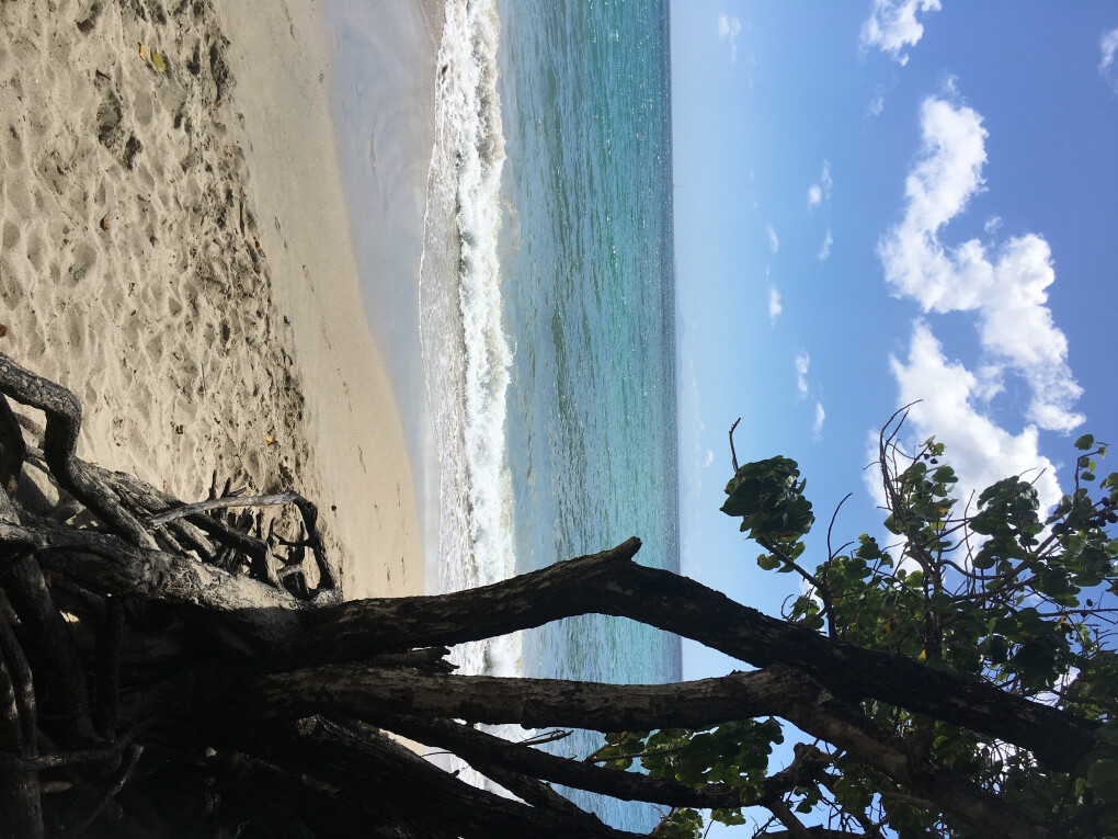 4289225.jpeg 4289225.jpeg