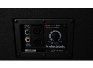 TC Electronic RS210