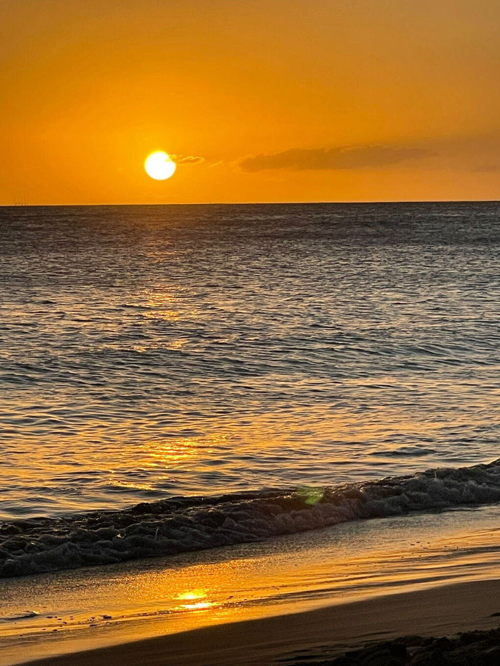 4293515.jpeg 4293515.jpeg