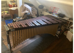 Concorde Marimba