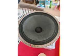 Celestion G12M Greenback (22158)