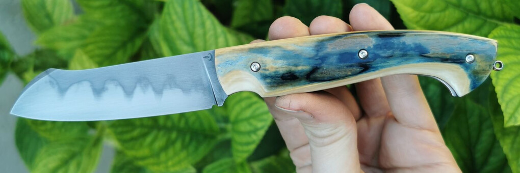 4295540.jpeg 4295540.jpeg