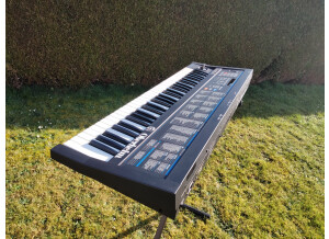 Oberheim Matrix 6 (82519)