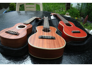 Trio ukuleles 2