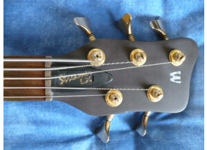 Warwick Streamer LX 5