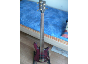 Warwick Streamer LX 5