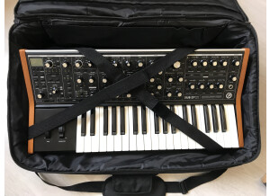 Moog Music SUB 37 (16244)