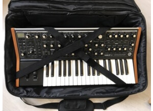 Moog Music SUB 37 (53467)