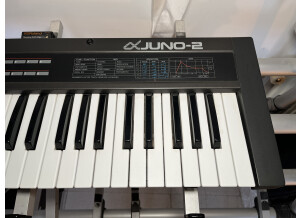 Roland JUNO-2 (56450)