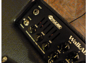 Mesa Boogie Walkabout Scout 1x15 Combo