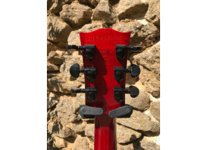 Gibson-N225---05-Tête-Dos