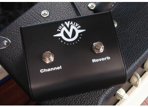 The Valve 2|50-1 (98873)
