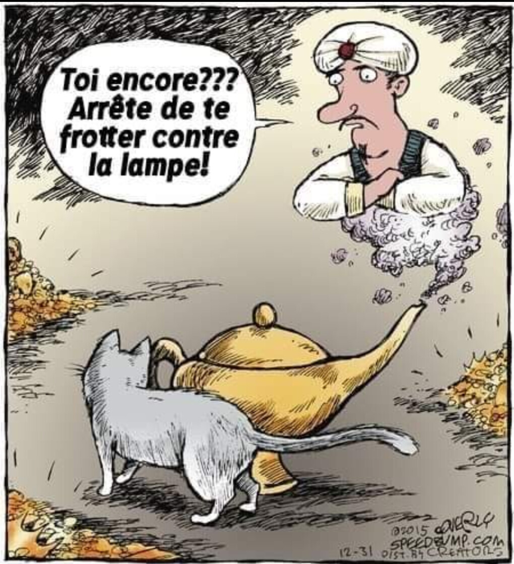 4302989.jpg 4302989.jpg