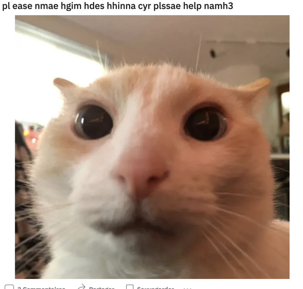 4304357.png 4304357.png