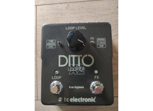TC Electronic Ditto X2 (1147)