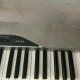 Privia PX-310 Privia PX-310