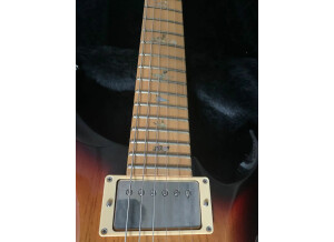 PRS Swamp Ash Special (62090)