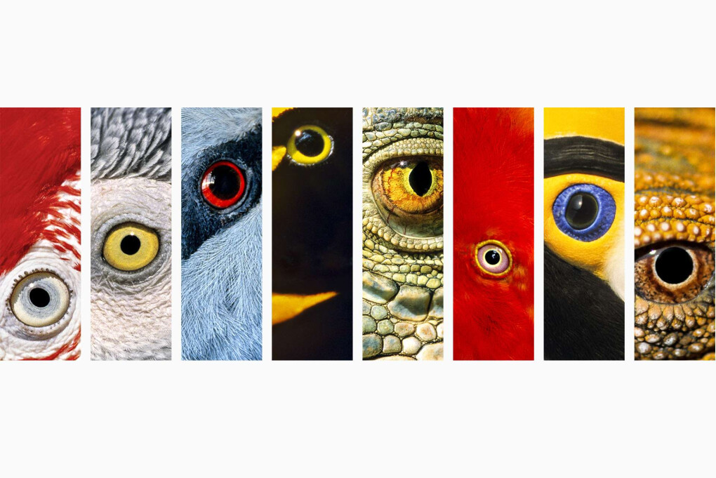 4306448.jpg 4306448.jpg