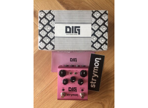 Strymon DIG (40396)