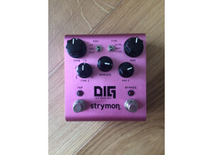 Strymon DIG (29661)