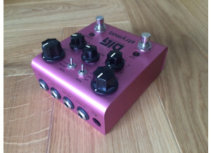 Strymon DIG (12073)