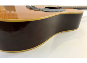 Gibson J50 Vintage (2819)