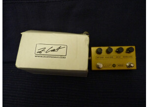 Z.Cat Hold Reverb