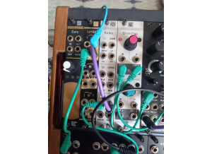 Mutable Instruments Branches (56749)