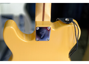 Fender Player Telecaster (61735)