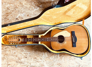 Fender Villager 12 String [2012-2018]