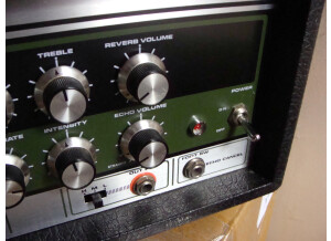 Roland RE-201 Space Echo (36235)