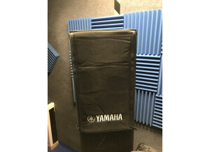 Yamaha DXR10 (58450)