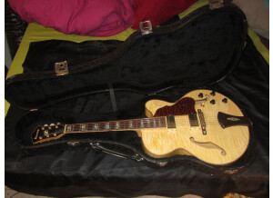 Ibanez AF125 (28149)