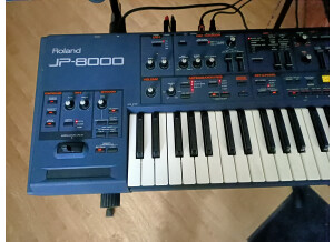 Roland JP-8000 (78879)