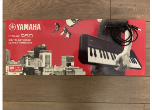 Yamaha PSS-A50