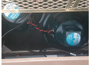 B&G Guitars Prototype Amp (22854)