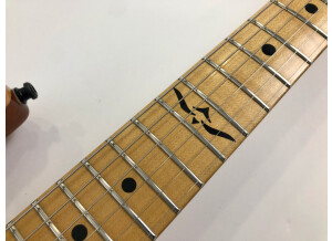 PRS Johnny Hiland Model (25387)