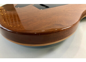 PRS Johnny Hiland Model (61003)