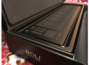 ROLI Seaboard Rise 49 (33391)