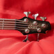 Action V-DLX Action V-DLX
