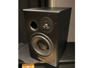 Dynaudio BM15A (6695)