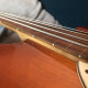 StingRay 4 Fretless StingRay 4 Fretless