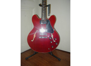 Epiphone [Archtop Series] The Dot - Cherry