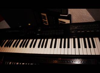 Roland D-20