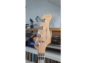 Sire Marcus Miller V7 4st (Alder) 2nd Generation (26143)