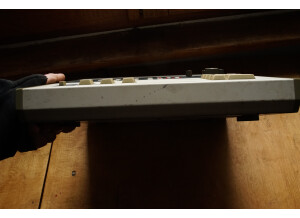 Roland SBX-80 (43107)